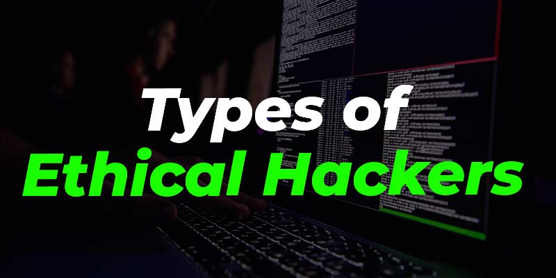 Ethical Hacking Course in Chennai: Types of Ethical Hackers
