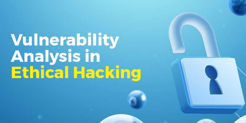 Vulnerability Analysis in Ethical Hacking