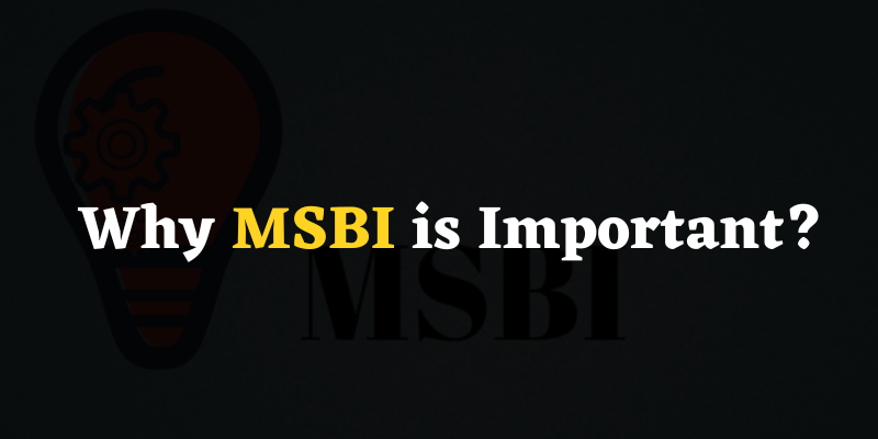 Why MSBI is Important?
