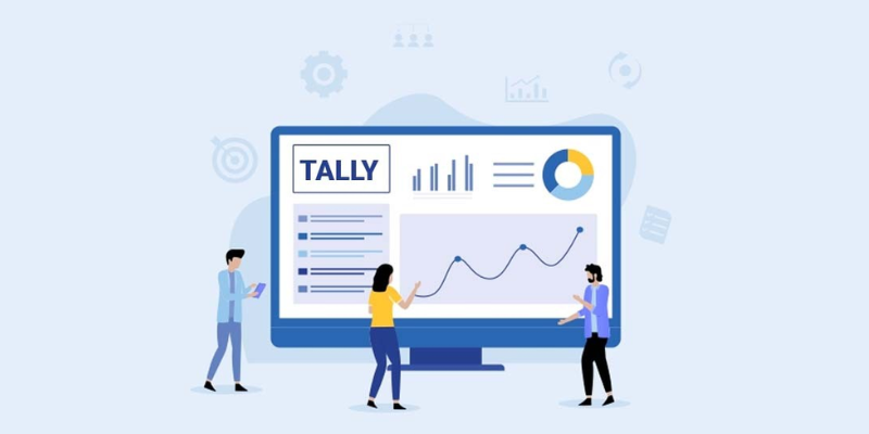 Why is Tally Software Important?